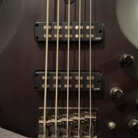 Basso Yamaha trbx505 5 corde nero opaco