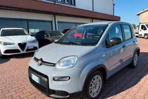 Fiat Panda 1.0 FireFly S&S Hybrid Euro6d