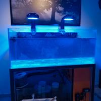 Acquario marino 120x50x55 con sump