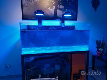 Acquario marino 120x50x55 con sump