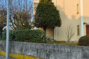 Bicamere a Udine zona Ospedale