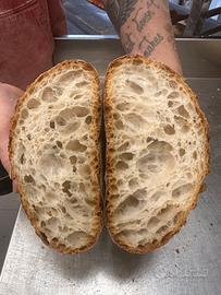 Fornaio panificatore