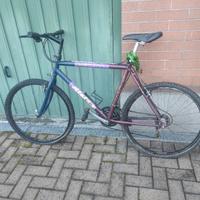 MTB Atala