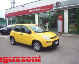 Fiat Panda 1.0 Hybrid 70 CV KM0 GIALLO 2024