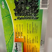 Siepe sintetica marca Papillon 1x3