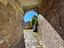 Immagine 29