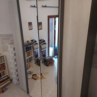 Armadio due ante specchiate