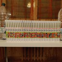 Dragonball evergreen edition Da vol 1 a 32