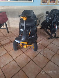 Trattorino tagliaerba