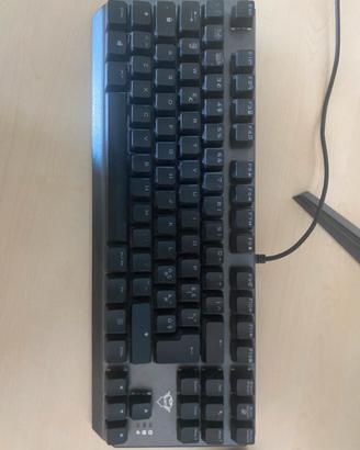 tastiera meccanica gxt