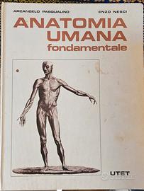 libro anatomia