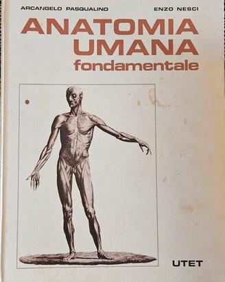 libro anatomia