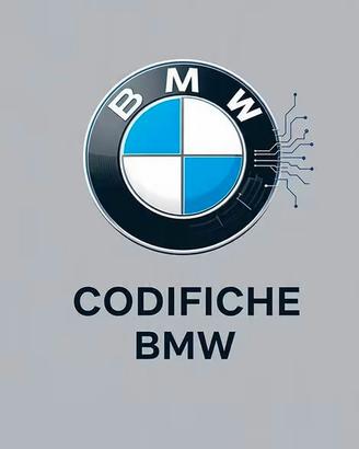 Codifiche BMW/Mini in giornata