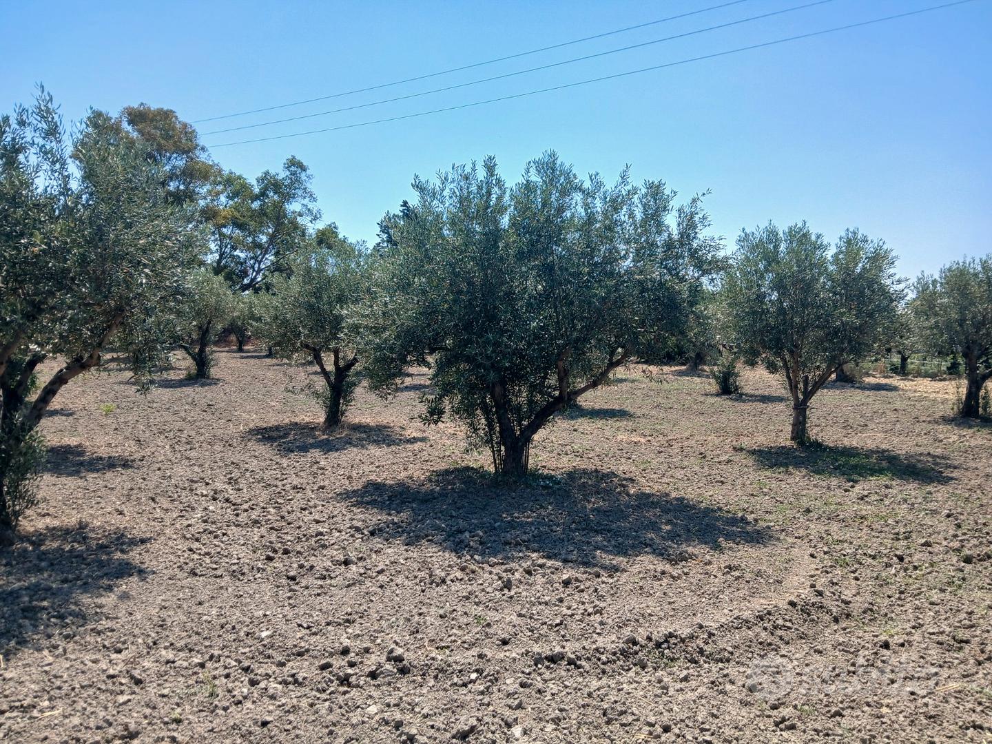 Terreno edificabile - Vista 2