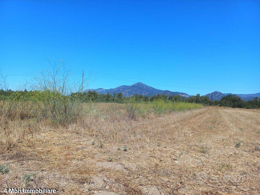 Terreno Loc. Tuerra Manna mq. 7415 - Vista 4