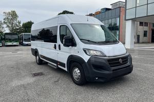 Fiat Ducato, 2020, 14 posti, Euro 6