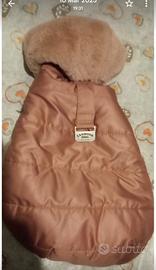 cappotto per cani