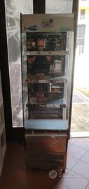 vetrina frigo professionale 