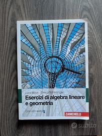 Esercizi di Algebra lineare geometria Schlesinger