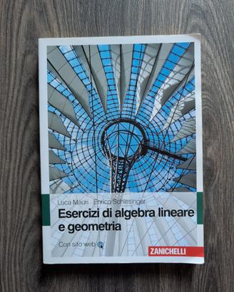Esercizi di Algebra lineare geometria Schlesinger