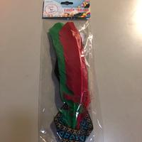 Fascia indiano con penne colorate