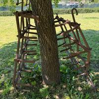 Erpice a denti per collezionismo