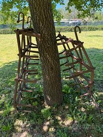 Erpice a denti per collezionismo