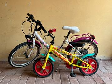 Coppia Biciclette