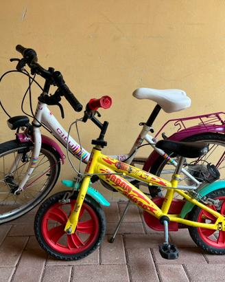 Coppia Biciclette