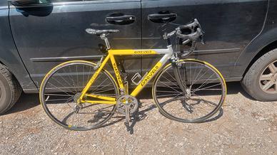 Bici da strada Eurovelo 