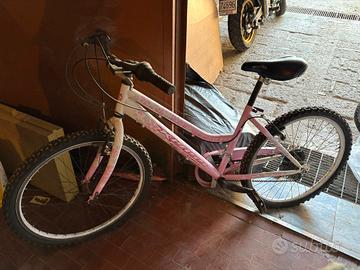 bicicletta 