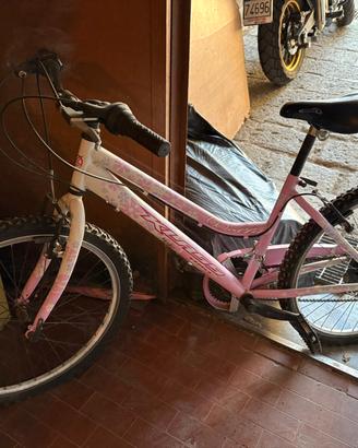 bicicletta 