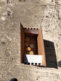 Arnie in cartone per api