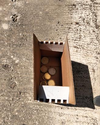 Arnie in cartone per api