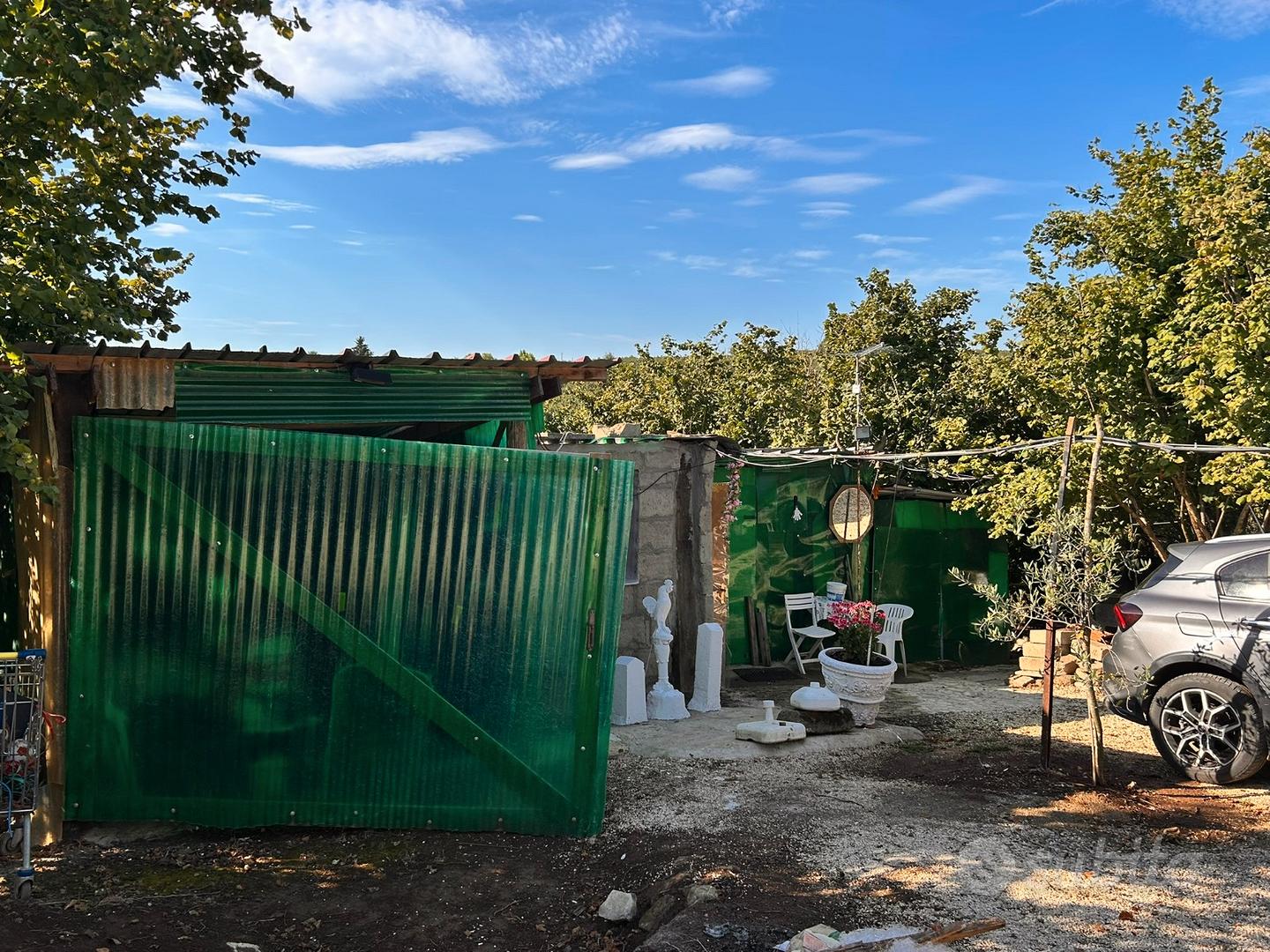 Terreno 6.400 mq - pozzo -200 nocciole + olivi - Vista 5