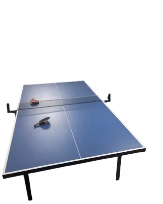 TAVOLO DA PING PONG CON ACCESSORI - €290