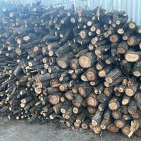 LEGNA DI QUERCIA ED ULIVO DA ARDERE