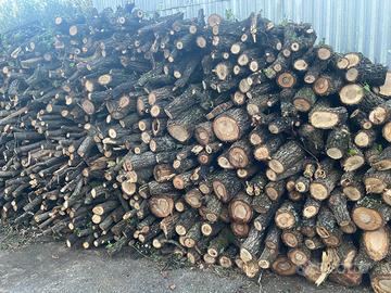LEGNA DI QUERCIA ED ULIVO DA ARDERE