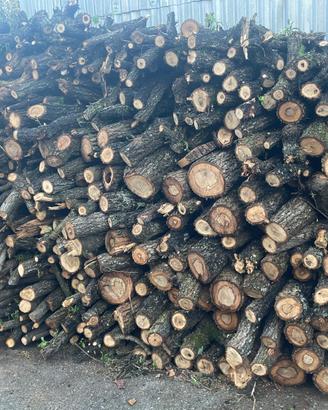 LEGNA DI QUERCIA ED ULIVO DA ARDERE