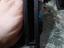 Immagine 4