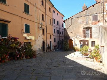 CC128-Castagneto C.cci-appartamento con vista mare