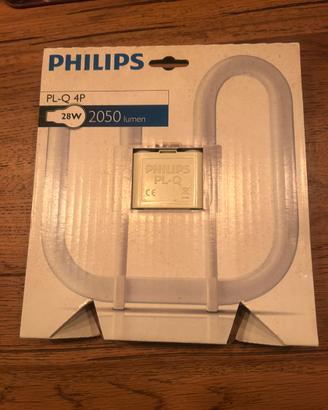 Lampadina  neon Philips