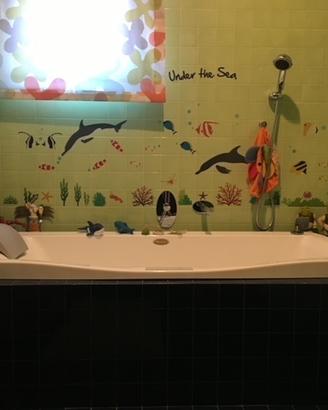 vasca da bagno jacuzzi e vetro originale