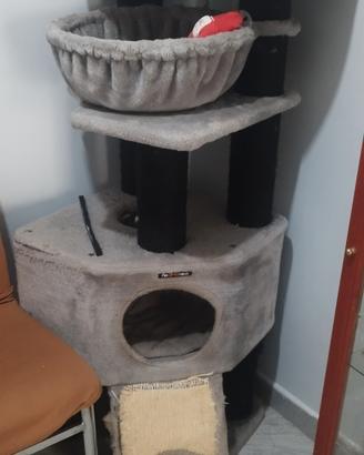 graffiatoio 