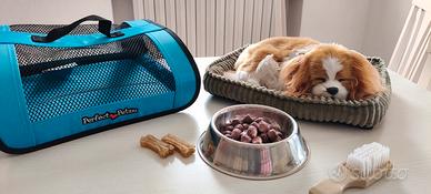 Perfect Petzzz cane che respira con trasportino
