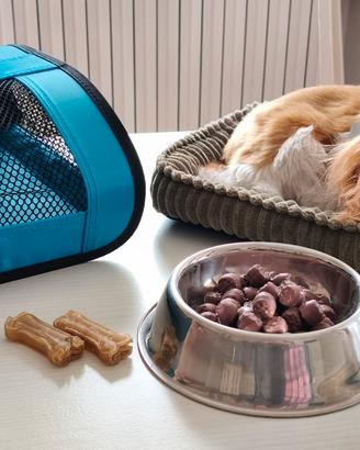 Perfect Petzzz cane che respira con trasportino