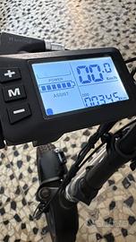 Bici elettrica