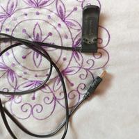 Cavo Garmin