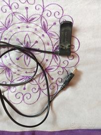 Cavo Garmin