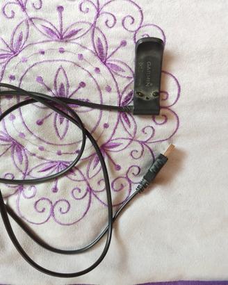 Cavo Garmin